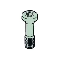 Vis pour porte-plaquettes L85020-T15P - T15P