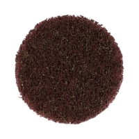Disque en abrasif incorporé BEARTEX F2303 - diamètre 50,8 mm