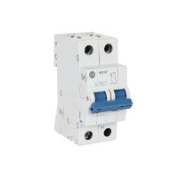 Disjoncteur modulaire 1492-SPM - 1 pôle + option neutre - 2A - courbe de déclenchement D