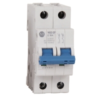 Disjoncteur modulaire série 1492-SPM - courbe C - 1 pôle + option neutre - 2 A - 1492-SPM1C020-N