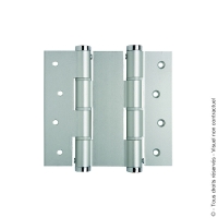 Charnière à ressort double action va et vient argent