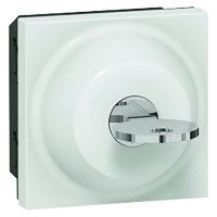 Interrupteur à clé RONIS MOSAIC - Fonction : va-et-vient simple - Nombre de modules : 2 - Intensité : 6 A - Coloris : blanc