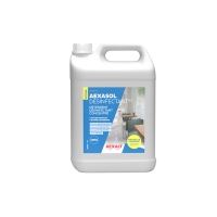 Détergent désinfectant AEXASOL DESINFECTANT NV - 5 L - parfum pin