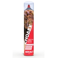Insecticide en aérosol CHOAEX spécial guêpes et frelons - 1000 mL