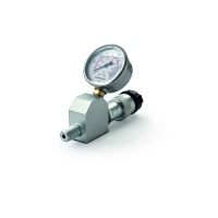 Ensemble manomètre et adaptateur série GA45GC - à bain - 3/8" NPTF - mâle - 700 bar - GA45GC