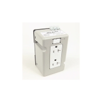 Prise disjoncteur de fuite à la terre 1492-REC15G