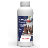 Accélérateur de rouille intérieur et extérieur ROUILLAEX - 1 L