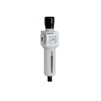 Filtre régulateur à particules série 651 - avec manomètre intégré - G1/4" - 25µ - 2360l/mn - G651APJP2GA00HN