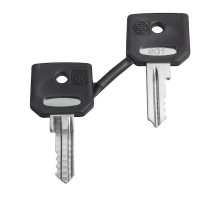 Clé pour serrure série ZBG - Ronis 455 - pour bouton tournant d'arrêt d'urgence - 22 mm - ZBG455