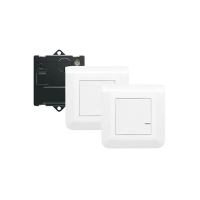 Interrupteur connecté MOSAIC 2 commandes
