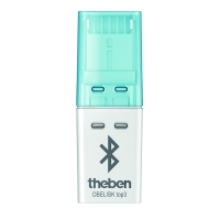 Carte mémoire Bluetooth pour minuterie OBELISK TOP 3 pour transfert des programmes