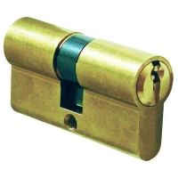 Cylindre européen 2 entrées 5 goupilles en laiton poli - varié - 30 x 30 mm