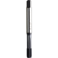 Taraud machine à refouler TN190U HSS-E PM Revêtement TiN - M6 - Pas : 1 mm - Carré d'entraînement : 4,9 mm