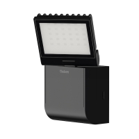 Projecteur LED THELEDA S8-100L - 900 Lm - 4000 K - noir