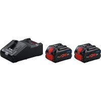 Pack batteries et chargeur pour outillage électroportatif 18V 2 batteries PROCORE et chargeur GAL 18V-160 - 8Ah
