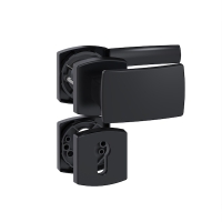 Ensemble sur rosace Muze 6425 palière P525 finition onyx clé I