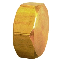 Bouchon laiton à visser femelle 300