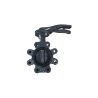 Vanne papillon XYLIA2 à oreilles taraudées