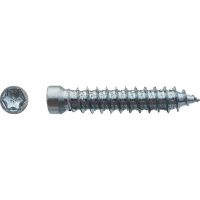 Vis béton pour fixation de châssis tête cylindrique réduite Torx® T30 zingué