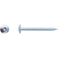 Vis pour penture Torx® Zingué