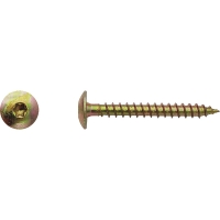 Vis pour penture Torx® Zingué bichromaté