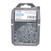 Vis autoperceuse tête cylindrique empreinte Phillips® Zingué Coque