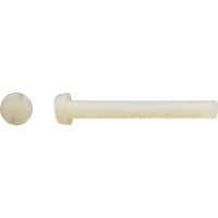 Vis à métaux tête cylindrique fendue PA 6,6 naturel