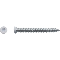 Vis béton pour fixation de châssis tête fraisée empreinte Torx® T30  Zingué laqué blanc