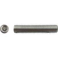 Vis sans tête à bout plat six pans creux (STHC) Inox A2