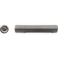 Vis sans tête à bout cuvette six pans creux (STHC) Inox A2