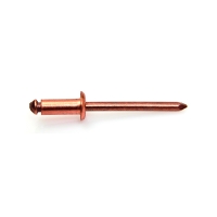 Rivet aveugle cuivre/bronze Tête Ronde GORIVET CUB TRS