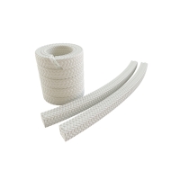 Tresse LIONPAK 9101 carrée