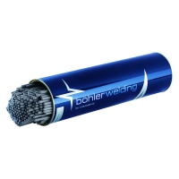 Électrode FOX EAS