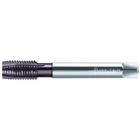 Taraud machine EP2026302 HSS-E PM