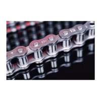 Chaîne à rouleaux simple BS ALPHA PREMIUM INOX