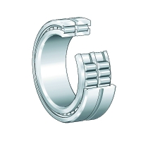 Roulement à rouleaux cylindriques SL18
