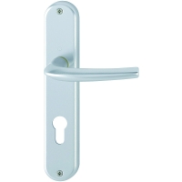 Ensemble sur petite plaque SAN-DIEGO argent F1