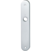 Plaque seule finition argent F1