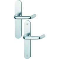 Ensemble sur grande plaque PARIS argent F1