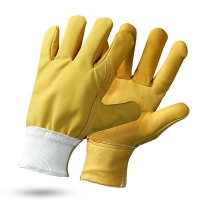 Gant anticoupure WETCUT01 EVOLUTION