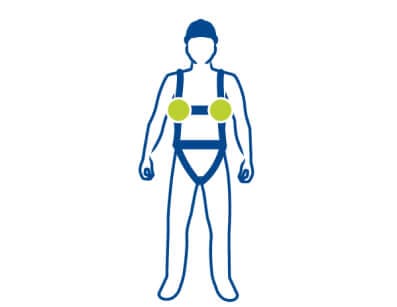 Point d’accrochage dorsal